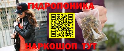 Альфа ПВП Можайск