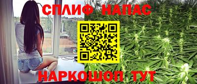 гидропоника Моздок